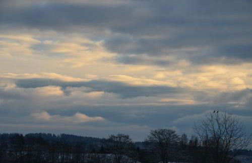 Haus Blume - Foto 43