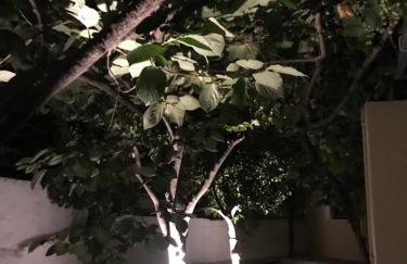 Amalthia House - Foto 28