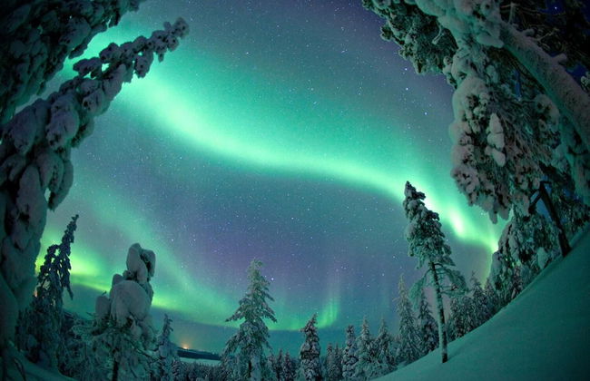 Ounasvaara Lakituvat chalets - Foto 21