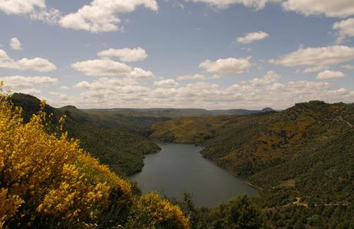 Casa da Ti Cura - Foto 47