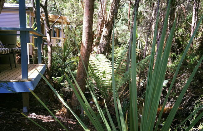 BIG4 Strahan Holiday Retreat - Foto 64