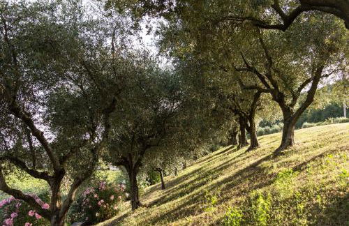 Agriturismo Ca' Cristane - Foto 50