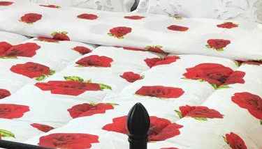 COMBI HOUSE - Foto 2