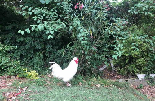 Logement entier entrée autonome ch,sdd,cs privatives - Foto 8