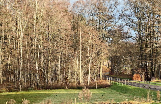 4 Star Holiday Home in Munka-ljungby - Foto 11