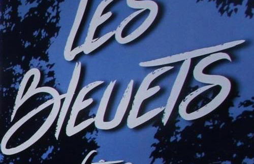 Gites les Bleuets - Foto 6