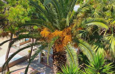 Ktima Papaoikonomou 2 - Foto 40