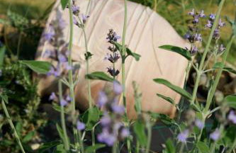 La Familia Luxury Private Maisonettes near the sea - Foto 39