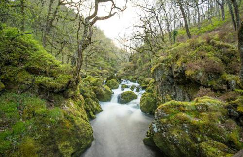 Luxurious Riverside Cottage in Snowdonia National Park - Foto 27