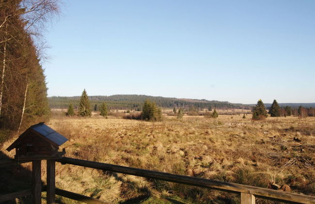 Cozy Forest Chalet Escape - Photo 25