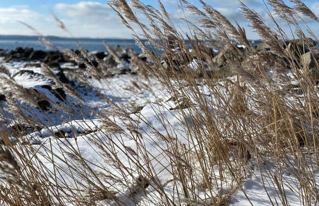Ferienhaus mit Sauna in Boiensdorf - Foto 25