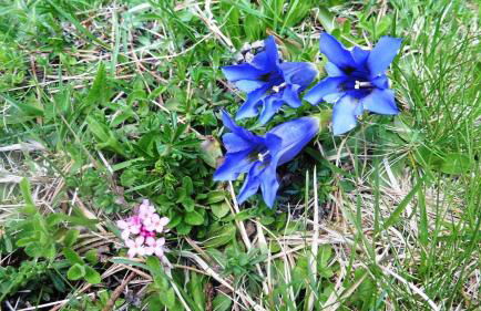 Apartamentos L´Era de Baix - Foto 47