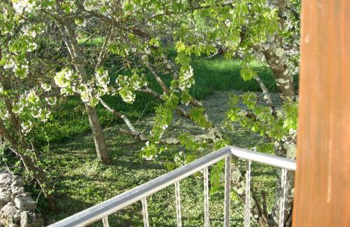 Antonia & Arian - Foto 22