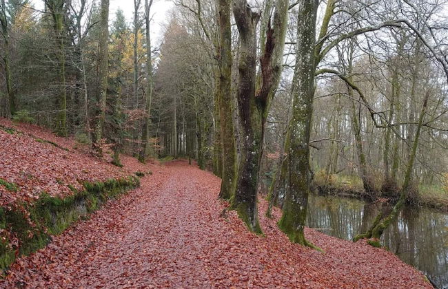 5 Person Holiday Home in Skanderborg-by Traum - Photo 8