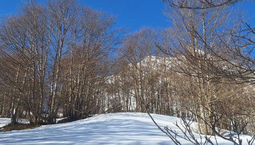 A la montagne - Photo 2