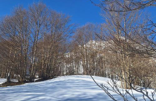 A la montagne - Photo 2