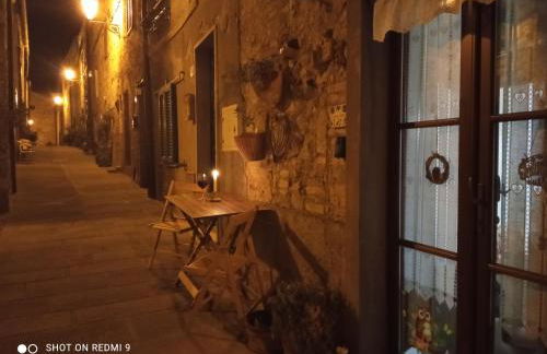 Le rose e i violini - Photo 4