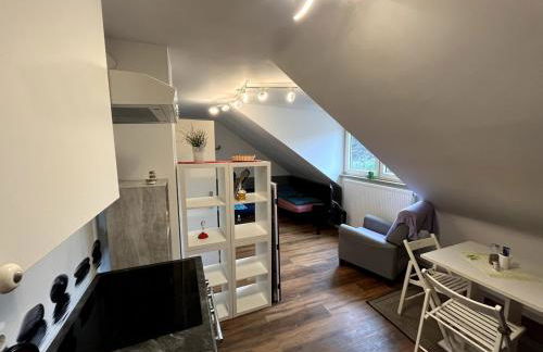 Gemütliches Apartment Würzburg-Heidingsfeld - Foto 3