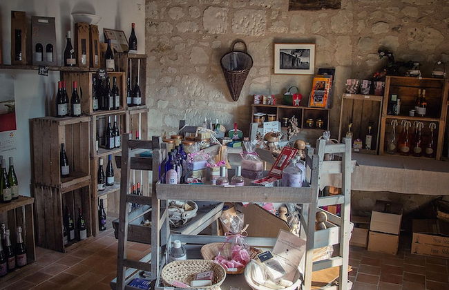 Carré d'Etoiles Paleine - Foto 10