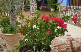 Casa Rural Mi Campo - Foto 60