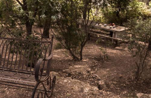 Nel Giardino dei Pesci Volanti - Foto 30