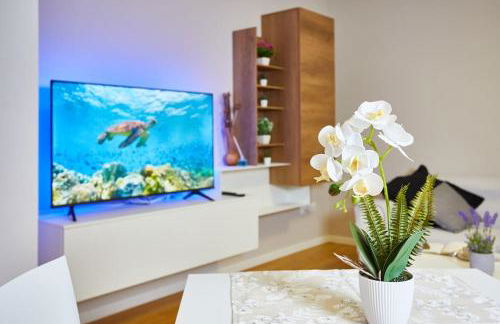 Center Aviano Comfort Suite FREE PARKING WIFI - Foto 18