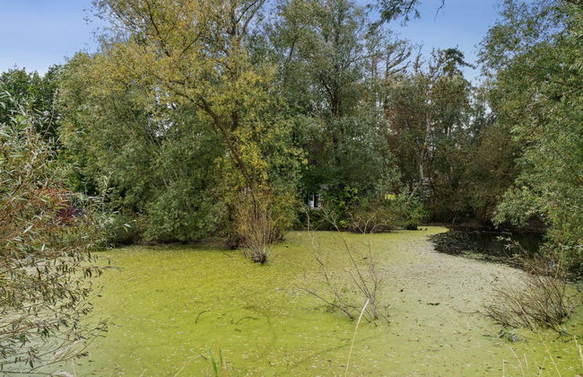 "Tessa" - 1.6km from the sea - Photo 16