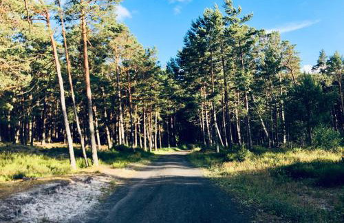 Piękny domek z dużym ogrodem - Foto 42