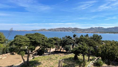 Villa Punta Grecale - Foto 4, Garden