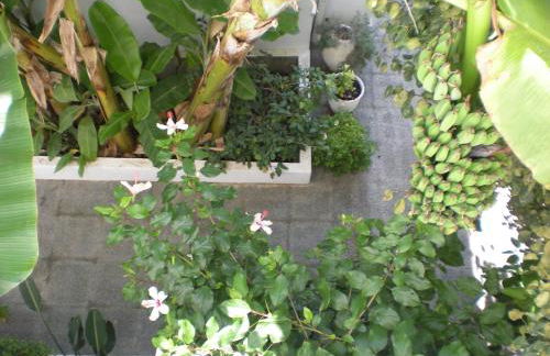 Manolis' House - Foto 45