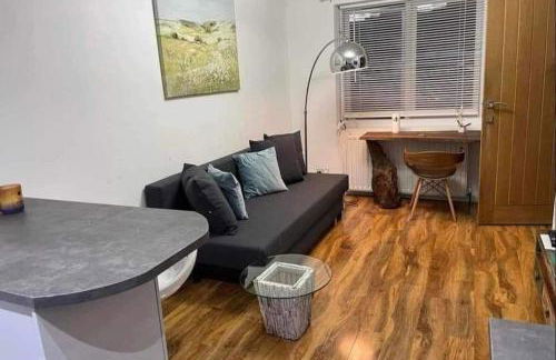 Dollis Hill One Bedroom Apartment NW2 - Foto 13