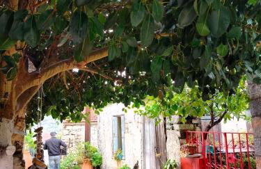 Nektarios Village House - Foto 26