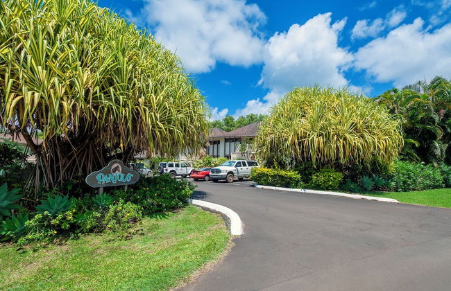 Paniolo 204a - Foto 26