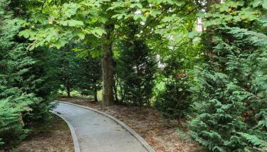 CRBN Di SJK28 - Foto 4