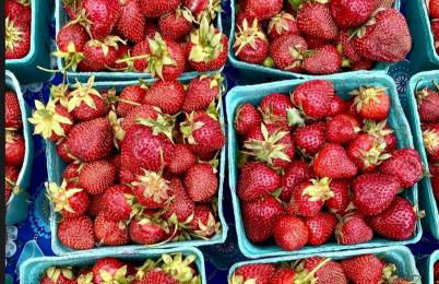 Cozy Creek House - Foto 48