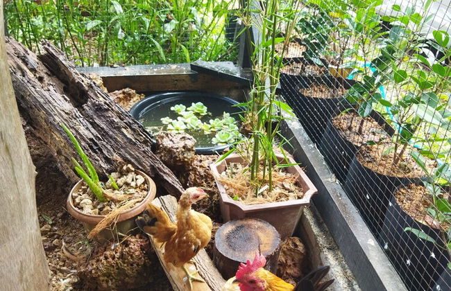 Tehel Farmhouse - Foto 30