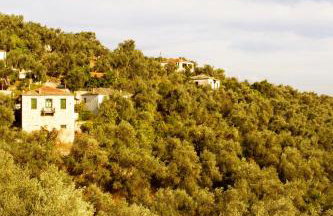 Villa Amanti - Foto 35