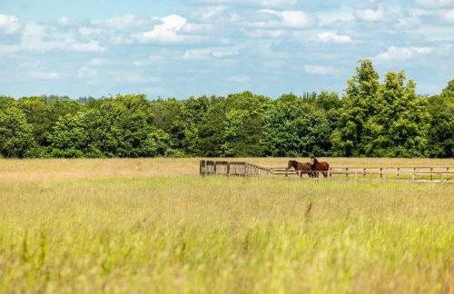 Cosy Rural Apartment - Foto 20