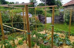 Fogar do Pumar - Foto 41