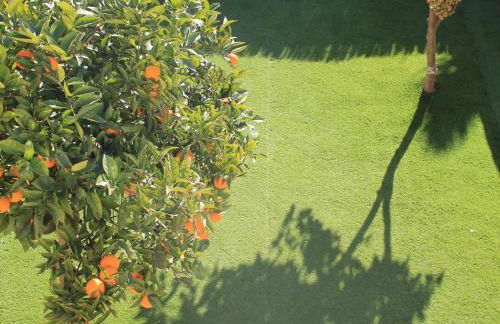 Suitur casa baquera en la playa larga roda de bará - Foto 26