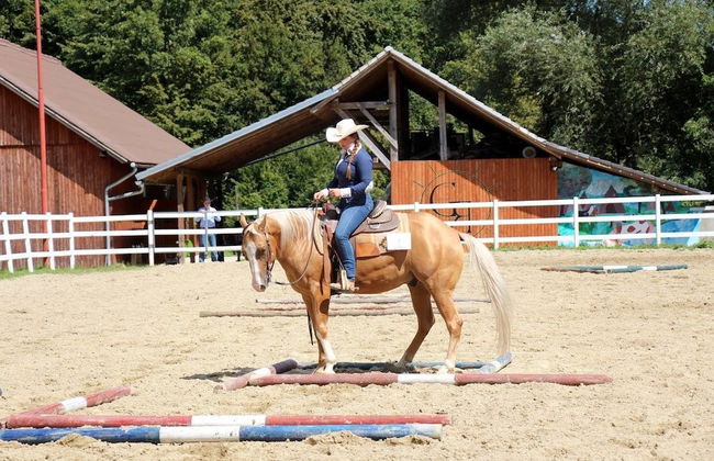 Ranch Marina - Photo 5