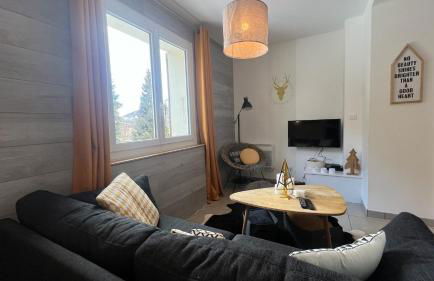 Jaune Génépi - 4 personnes - 49m2 et 17m2 terrasse - Foto 6