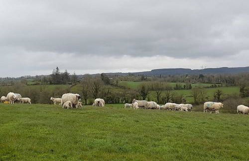 Emma's Cottage - Foto 31