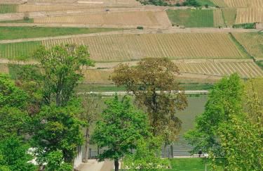 Rheinufer am Hindenburgpark - Foto 14