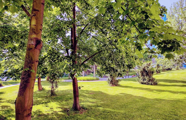 University Hotel - Foto 75