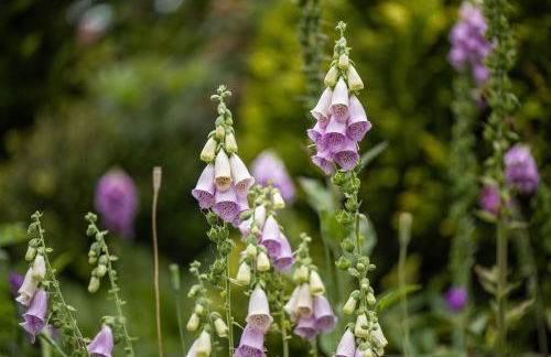 Ferienwohnung Mientje, 35214 - Foto 13