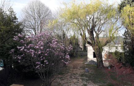 L' Abri du Saule - Foto 8