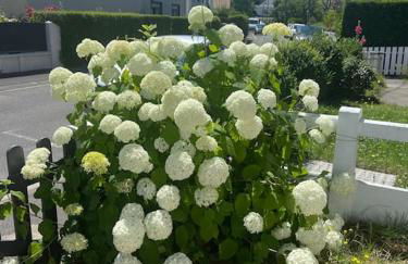 Charmante maison à l’entrée du Touquet-Cucq - Foto 18