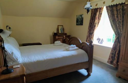 Cae'r Blaidd Country House - Foto 16