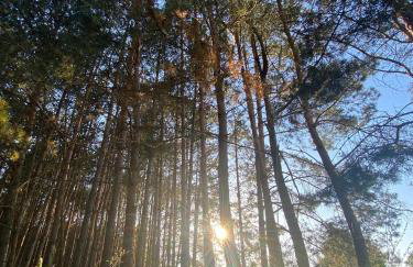 Przystanek Wieś - Foto 47